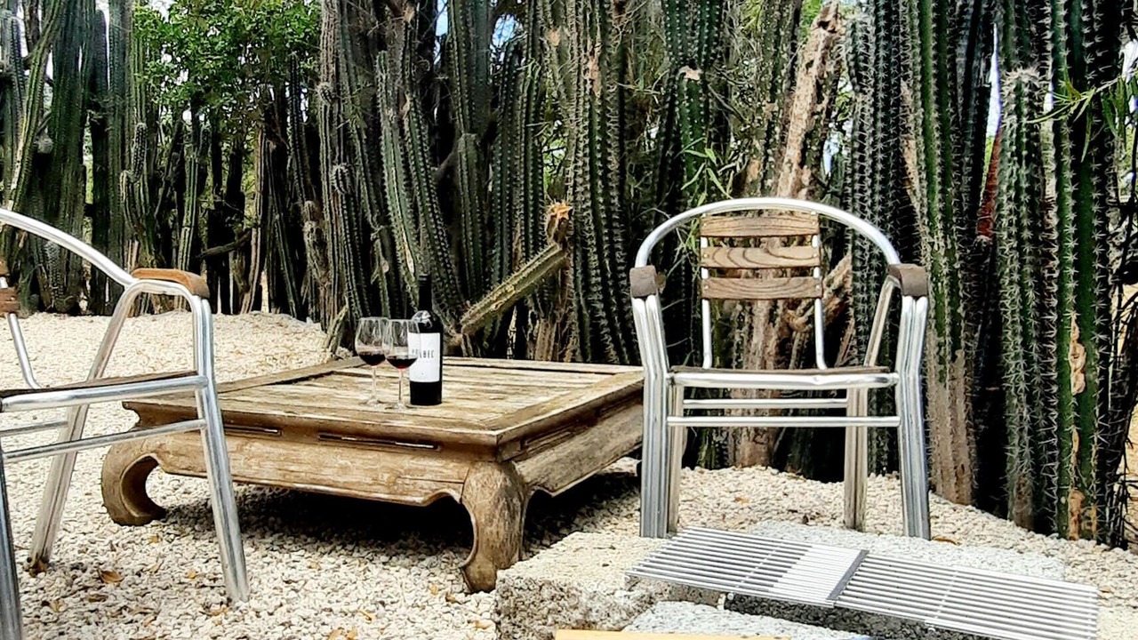 Photo of Outdoor in Rincon