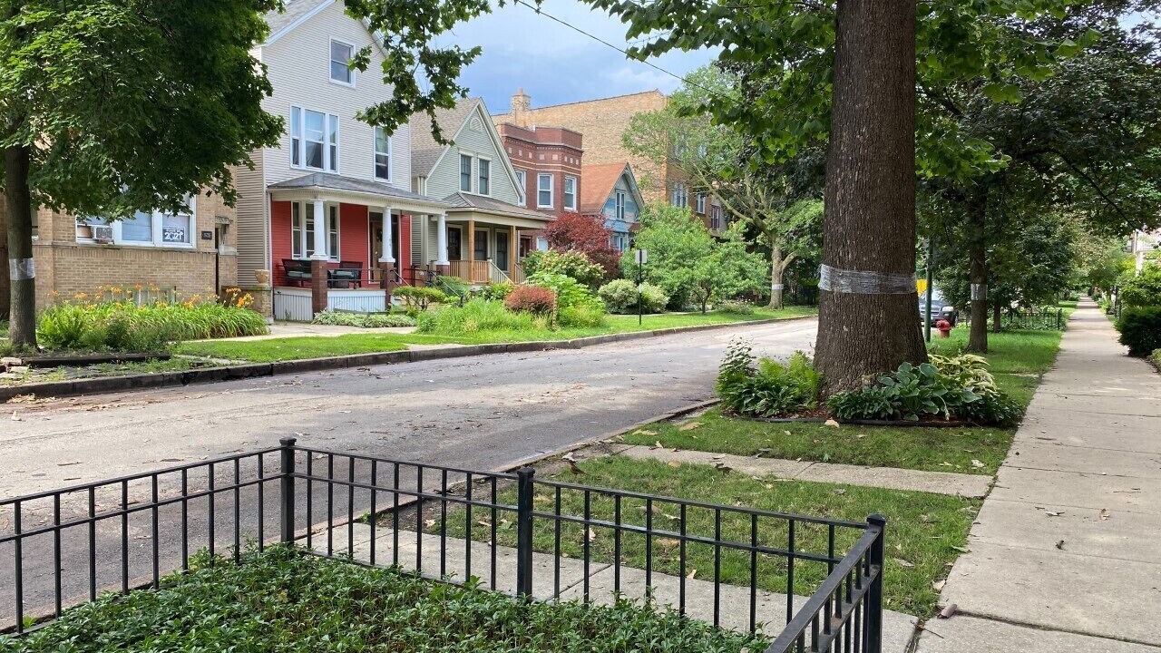 Photo of Outdoor in Edgewater