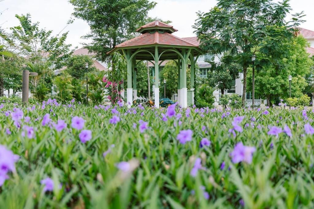 Photo of Outdoor in An Thoi