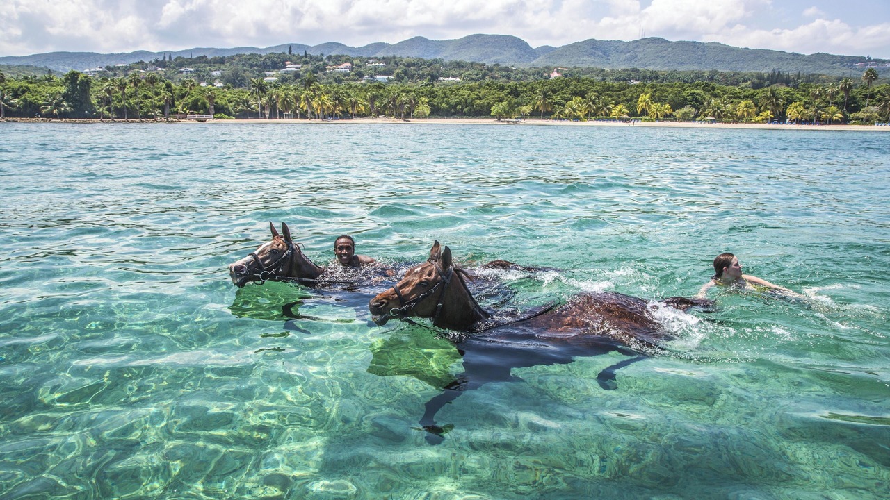 Photo of Others in Montego Bay