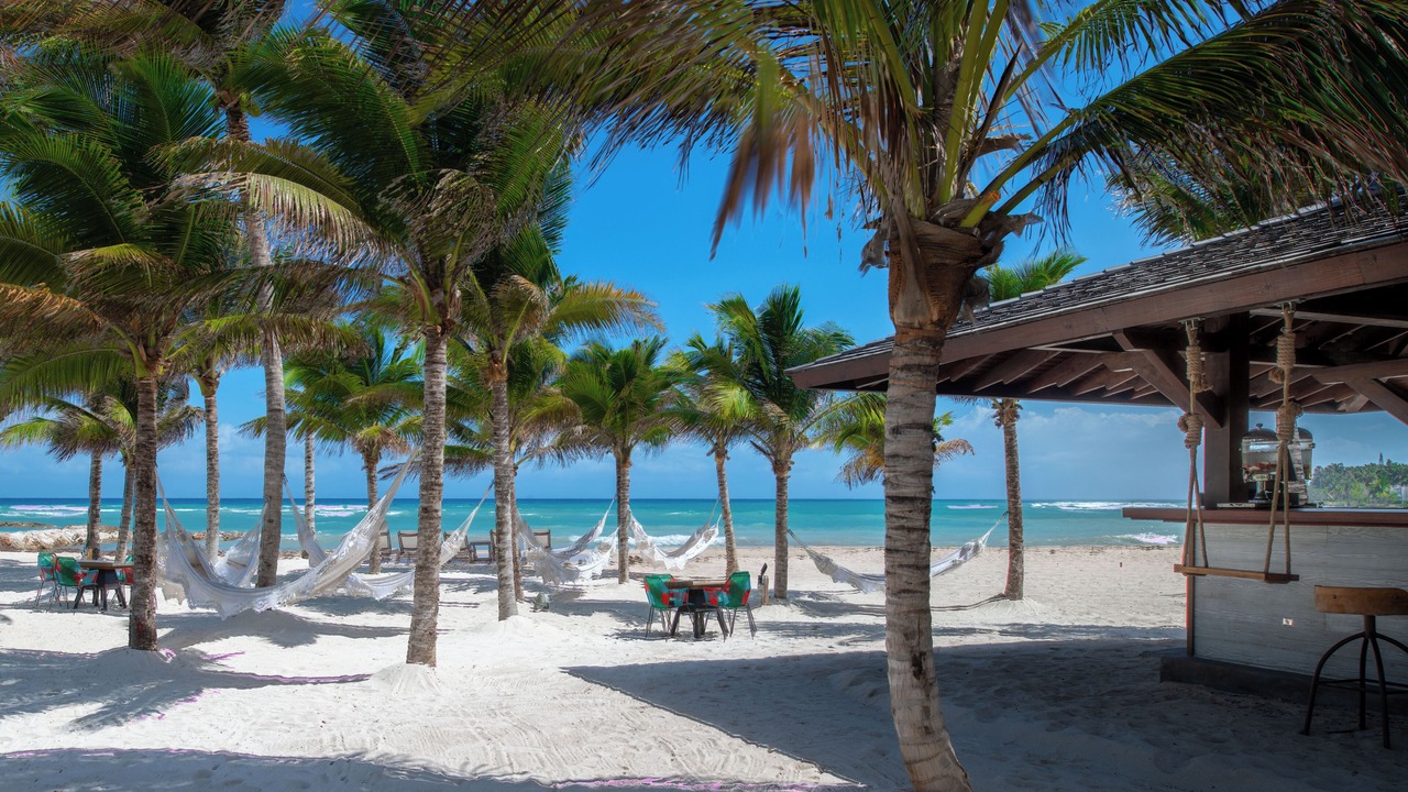 Photo of Others in Montego Bay