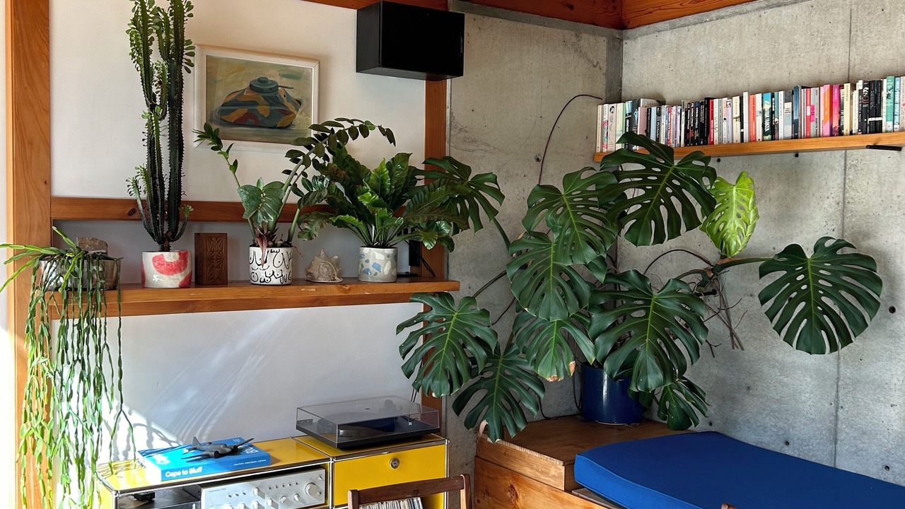 Photo of Others in Whanganui