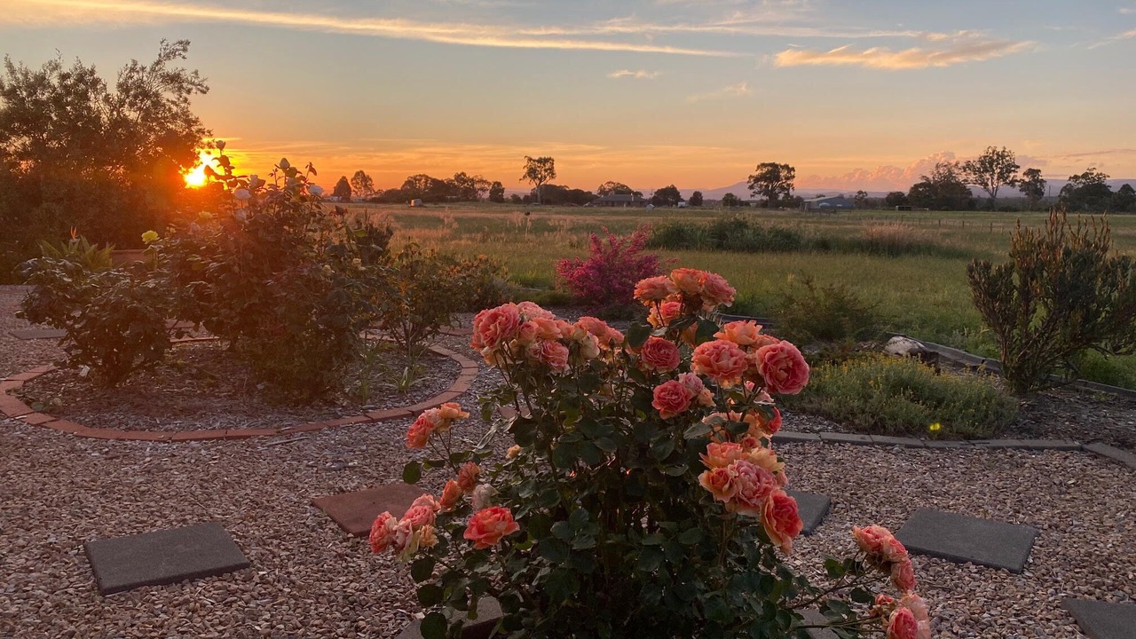 Photo of Outdoor in Briagolong