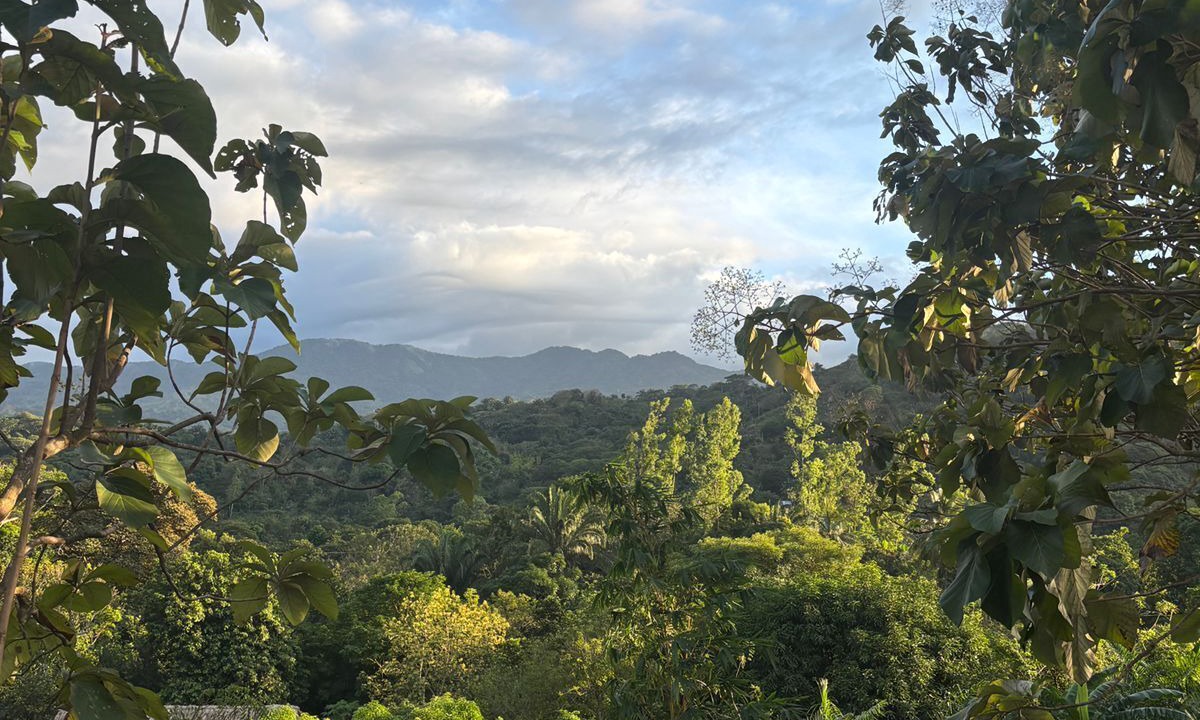 Photo of Others in Calabazo