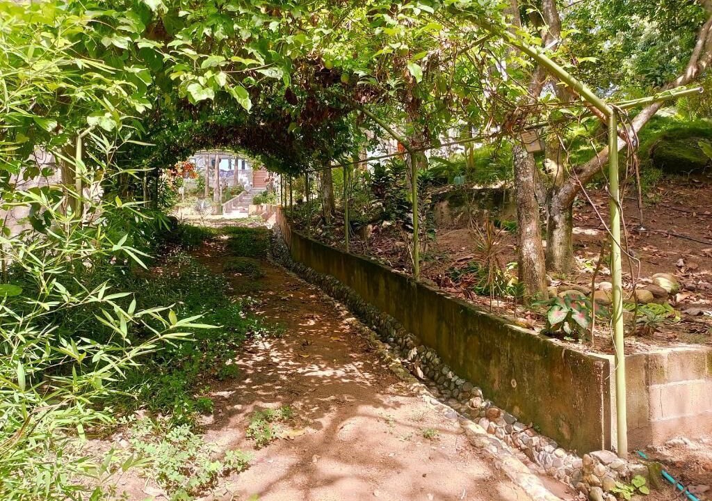 Photo of Outdoor in Calabazo
