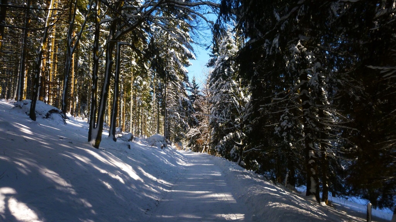Photo of Others in Hildfeld