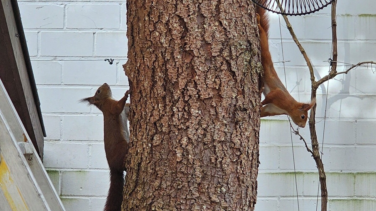 Photo of Outdoor in Stuttgart
