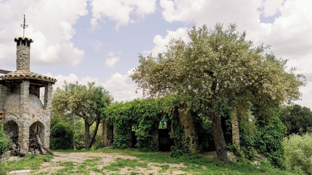 Photo of Others in Tolfa
