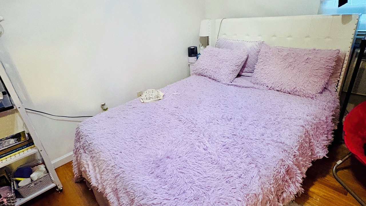 Photo of Bedroom in East Flushing