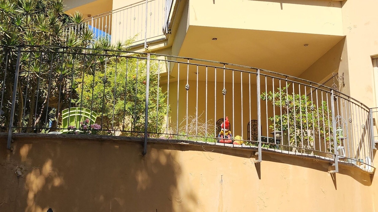 Photo of Outdoor in Lev HaSharon
