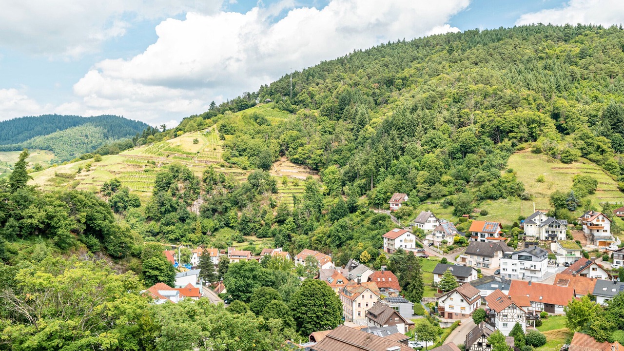 Photo of Outdoor in Buehlertal