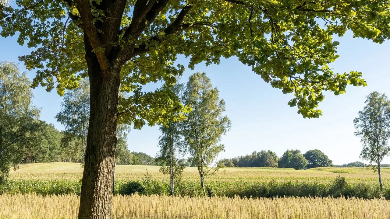 Photo of Others in Deimern