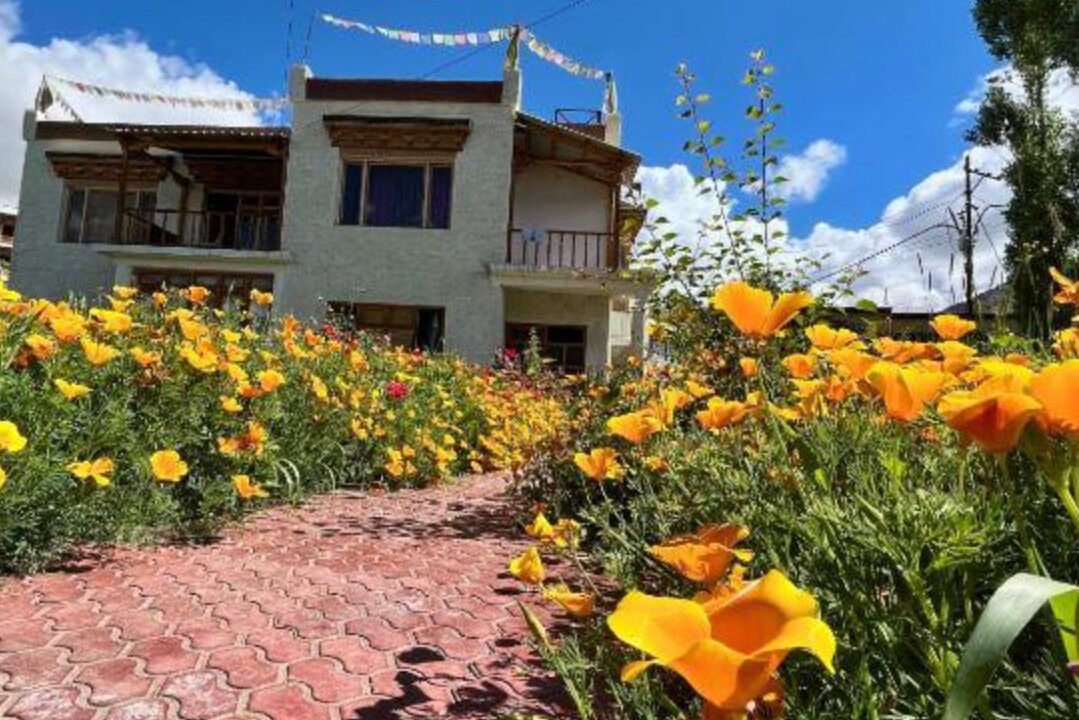 Photo of Outdoor in Leh