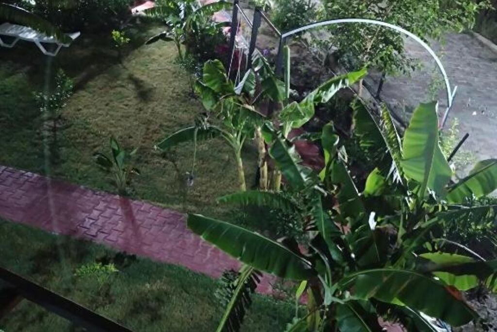 Photo of Outdoor in Cirali