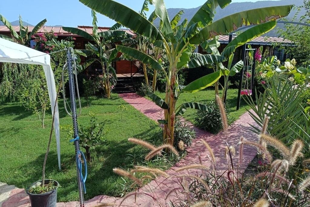 Photo of Outdoor in Cirali