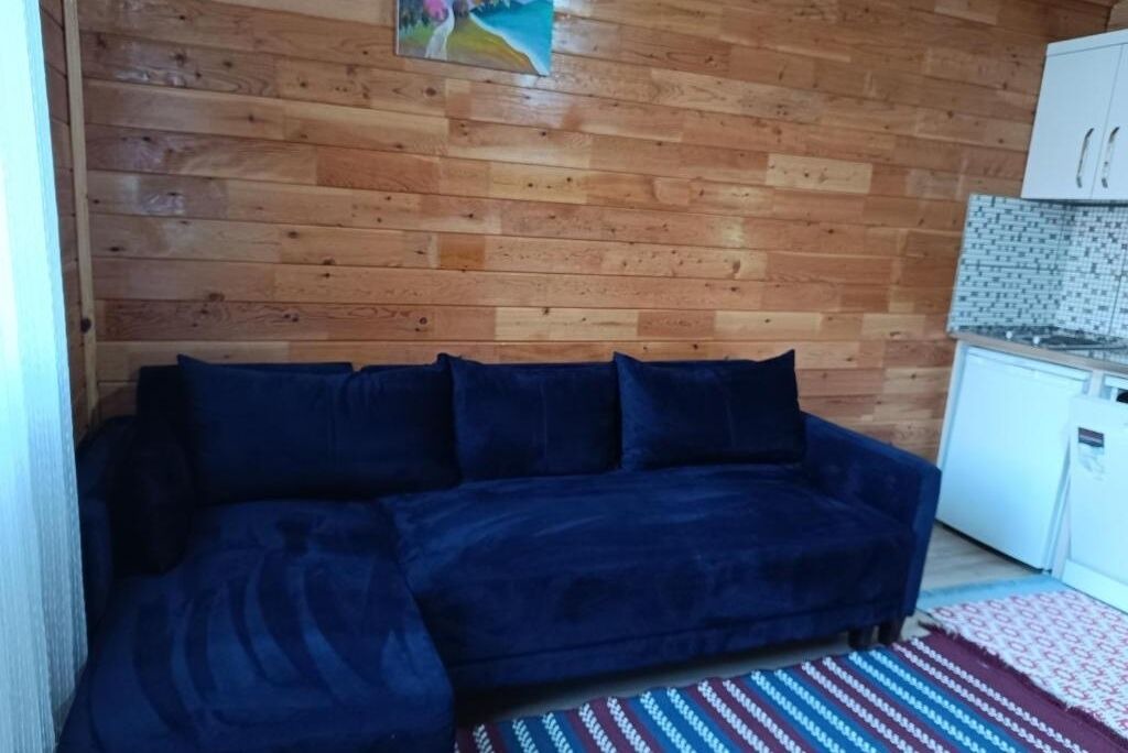 Photo of Livingroom in Cirali