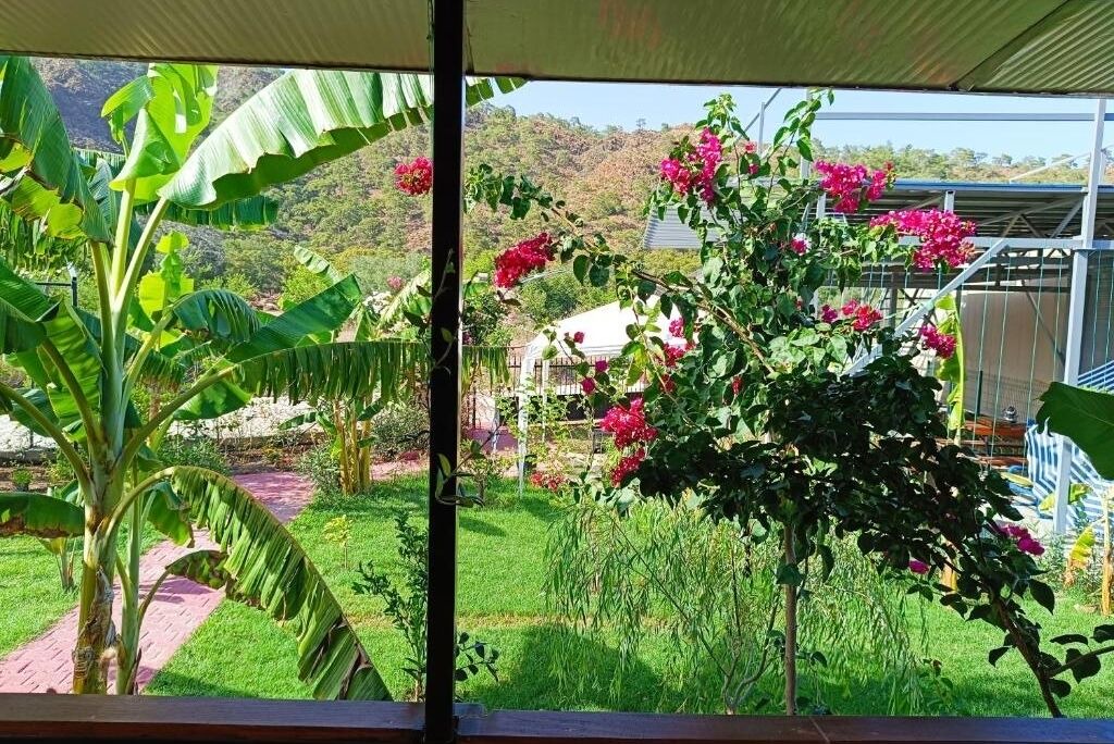 Photo of Outdoor in Cirali