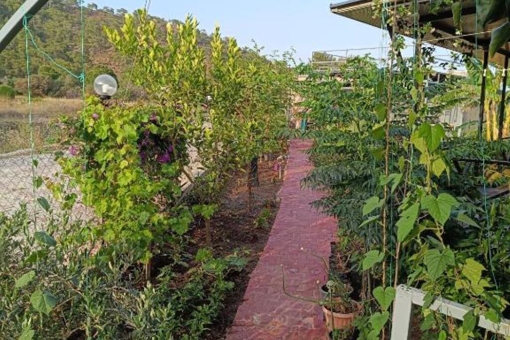 Photo of Outdoor in Cirali