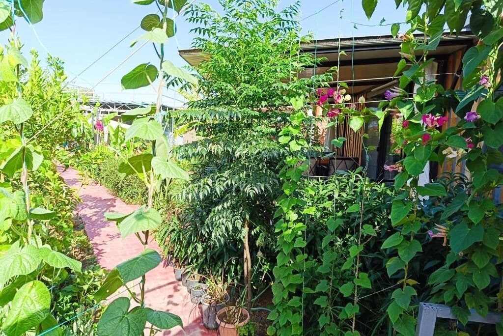 Photo of Outdoor in Cirali