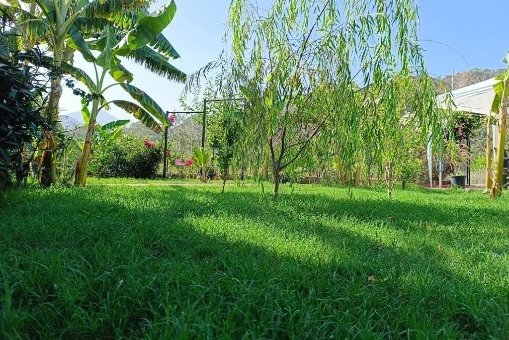 Photo of Outdoor in Cirali