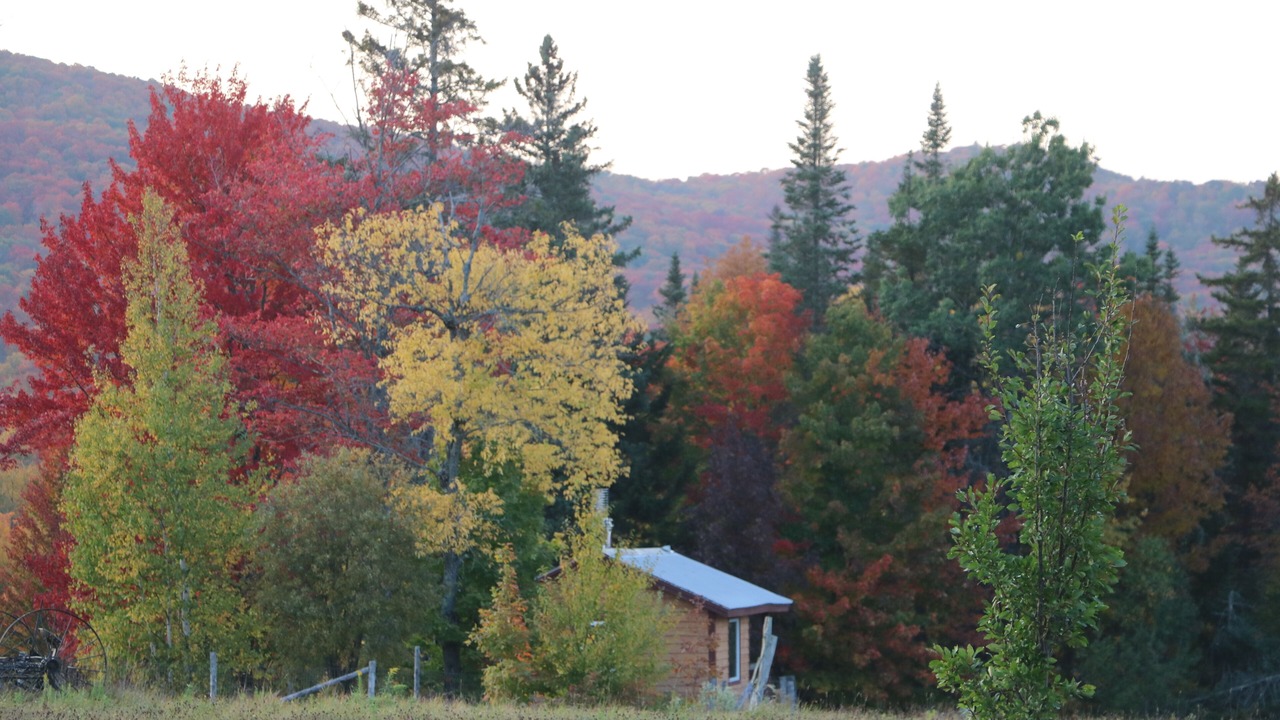 Photo of Others in Green Mountains