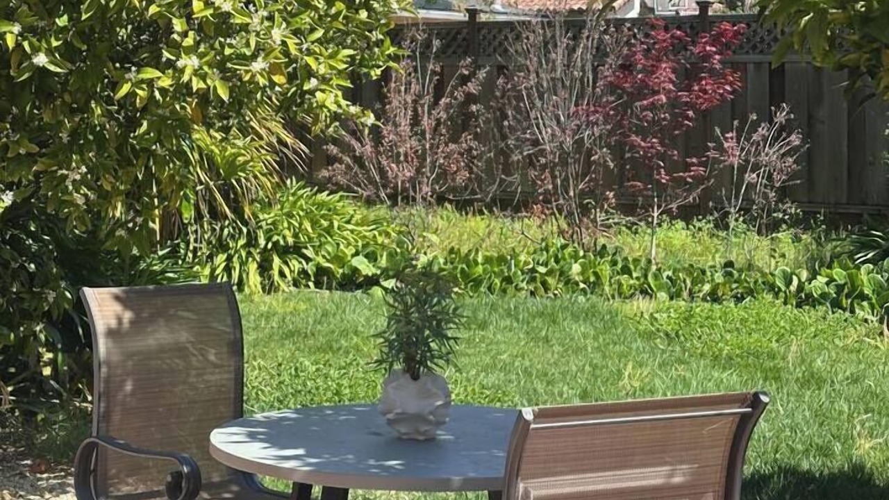 Photo of Others in Redwood City