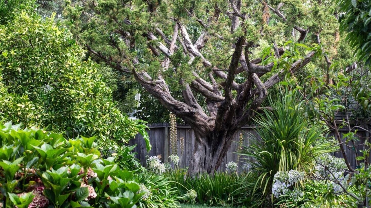 Photo of Others in Redwood City