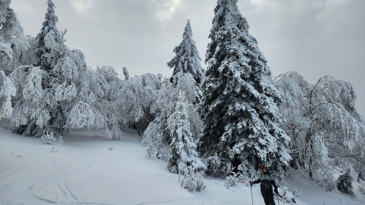 Photo of Others in Warren