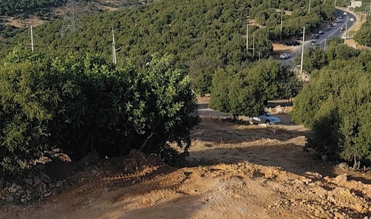 Photo of Others in Ajloun