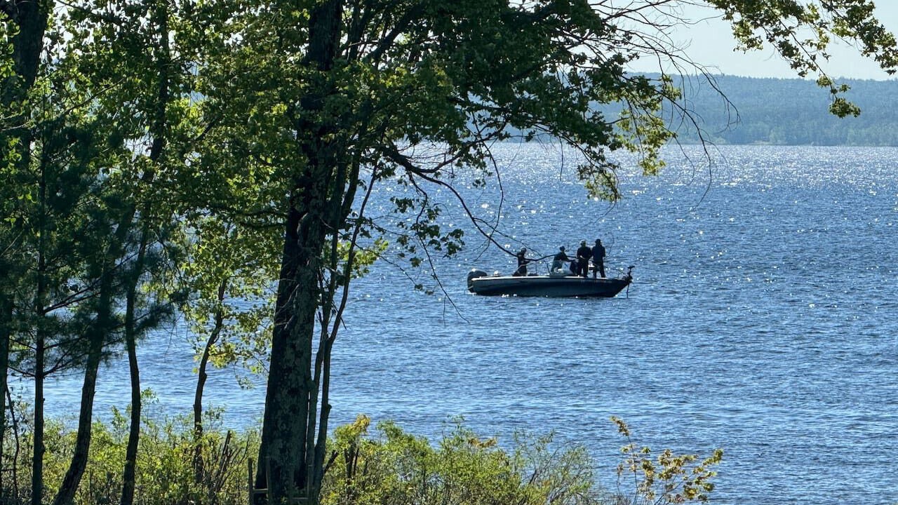 Photo of Others in Mayfield
