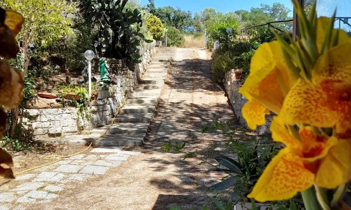 Photo of Outdoor in Santa Marinella