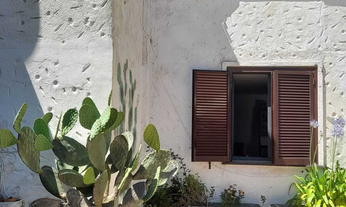Photo of Outdoor in Santa Marinella