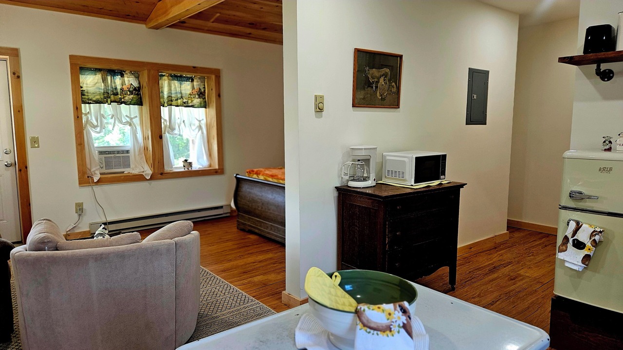 Photo of Livingroom in Swan Lake