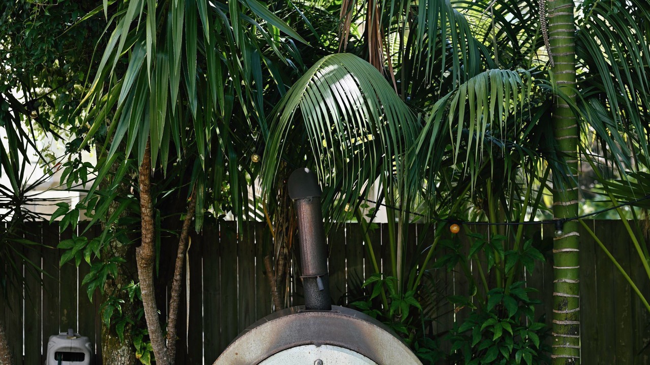 Photo of Outdoor in Suffolk Park