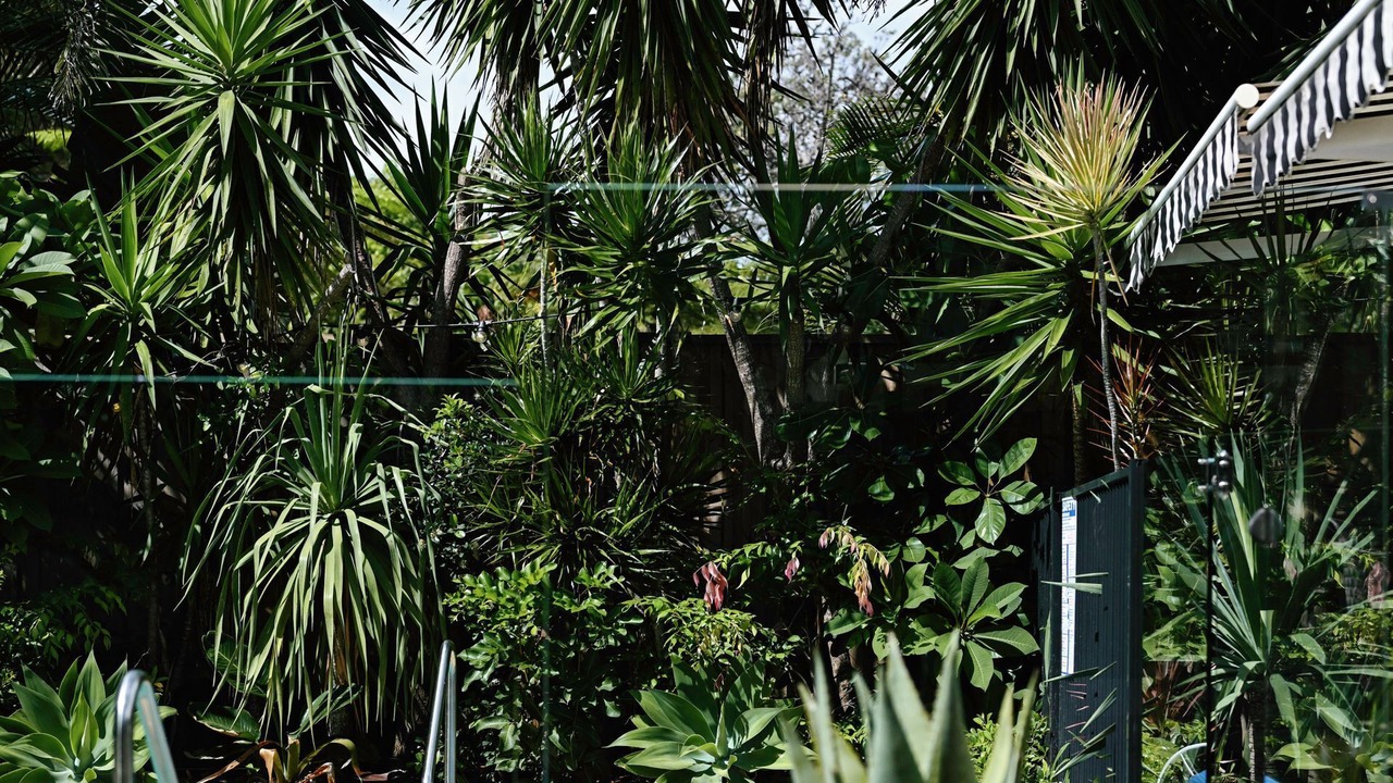 Photo of Outdoor in Suffolk Park