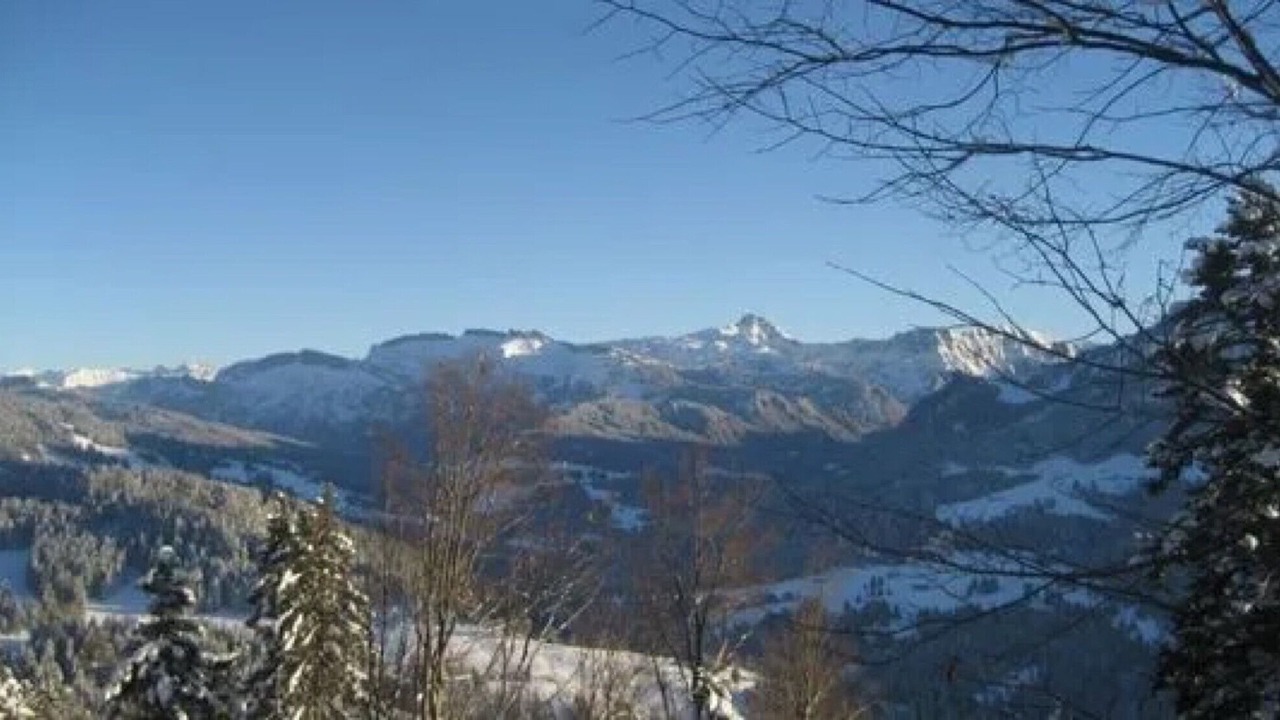 Photo of Others in Sibratsgfaell