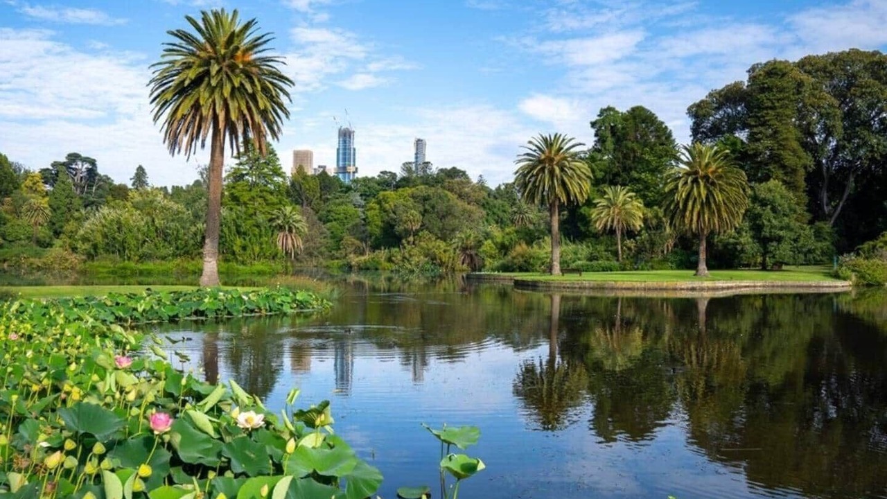 Photo of Others in East Melbourne