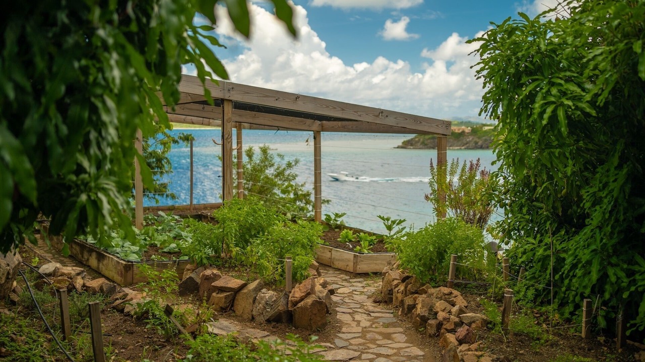 Photo of Outdoor in Scrub Island