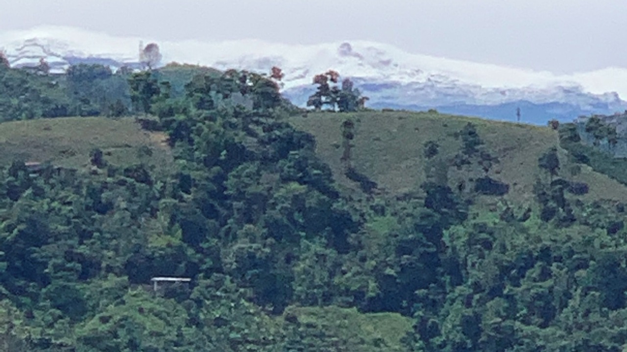 Photo of Others in Manizales