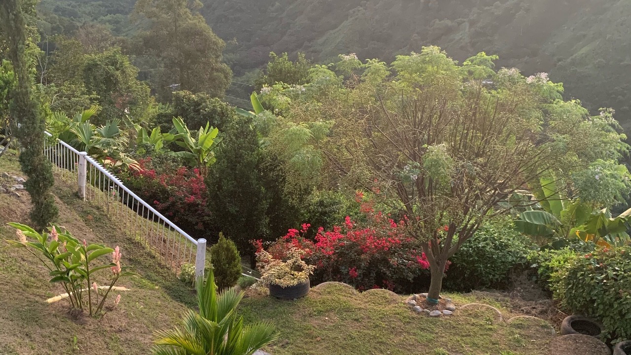 Photo of Outdoor in Manizales