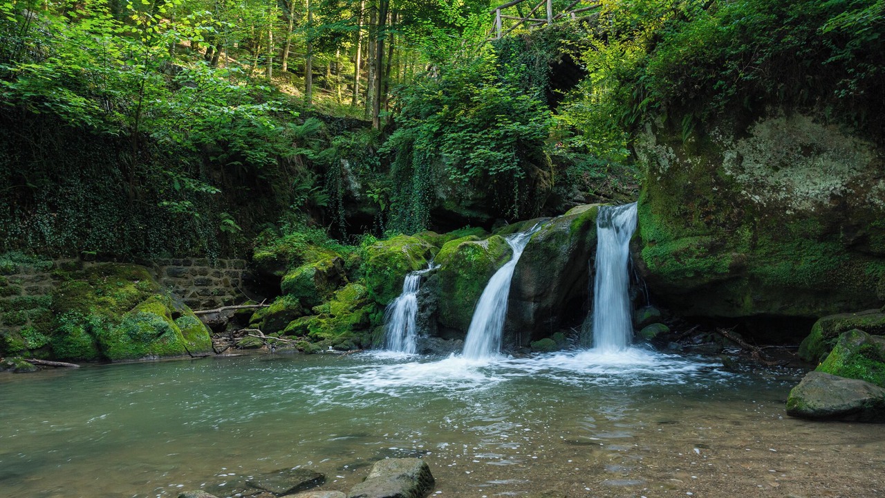 Photo of Others in Luxembourg Ardennes