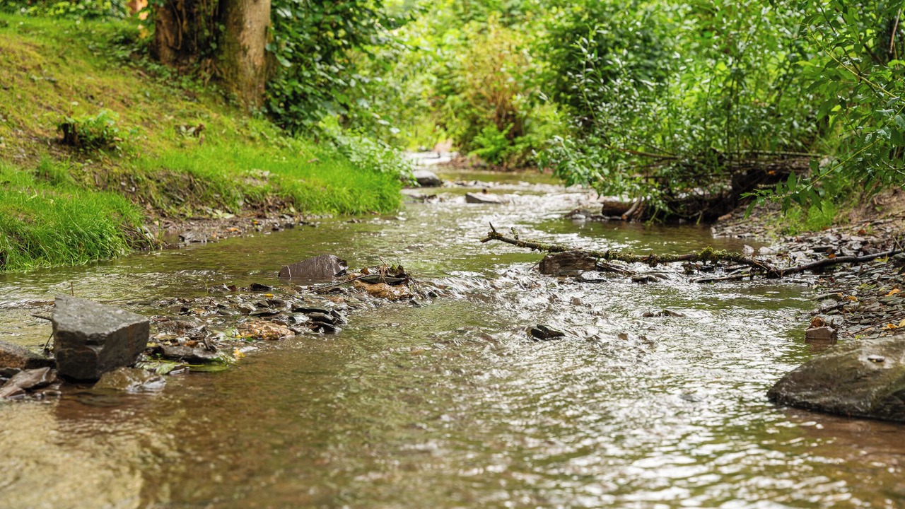 Photo of Others in Luxembourg Ardennes