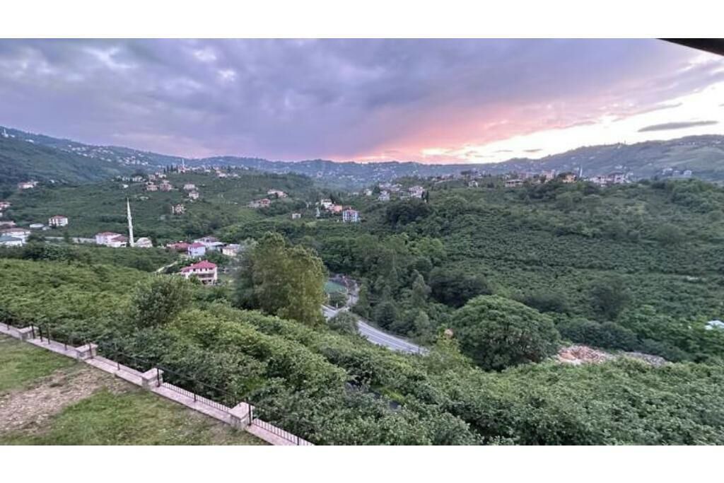 Photo of Others in Trabzon
