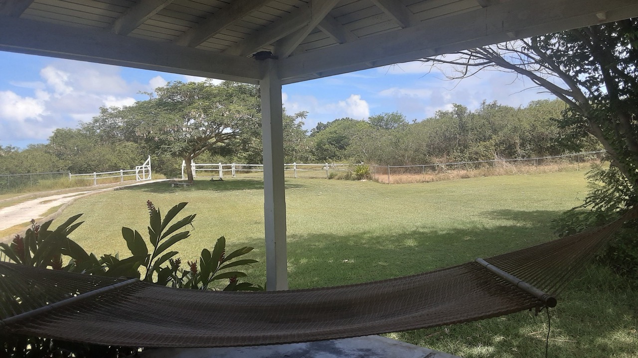 Photo of Outdoor in Hopefield