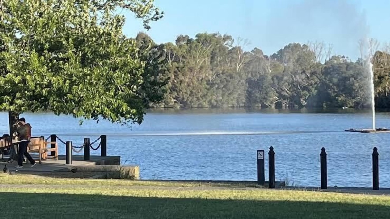 Photo of Others in Narre Warren South