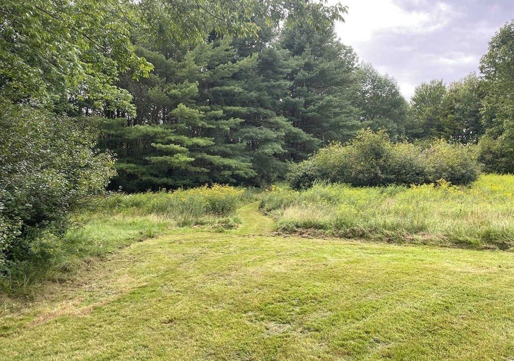 Photo of Others in Livingston Manor