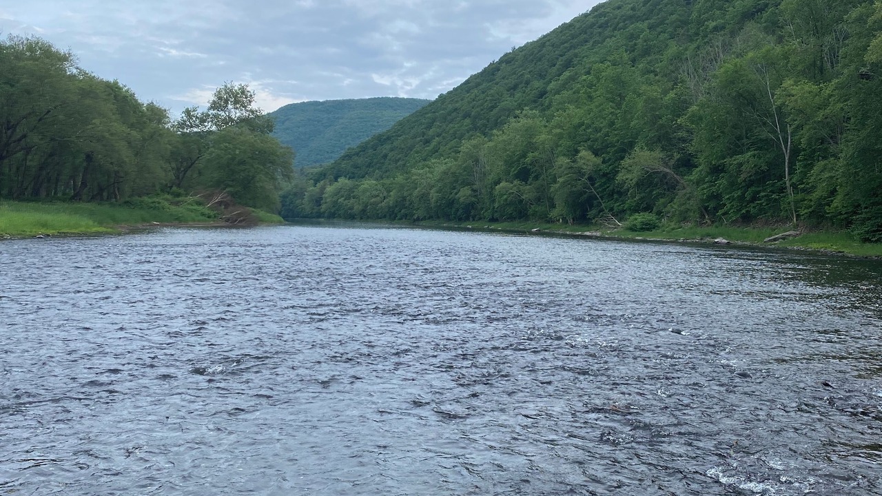Photo of Others in Hyner