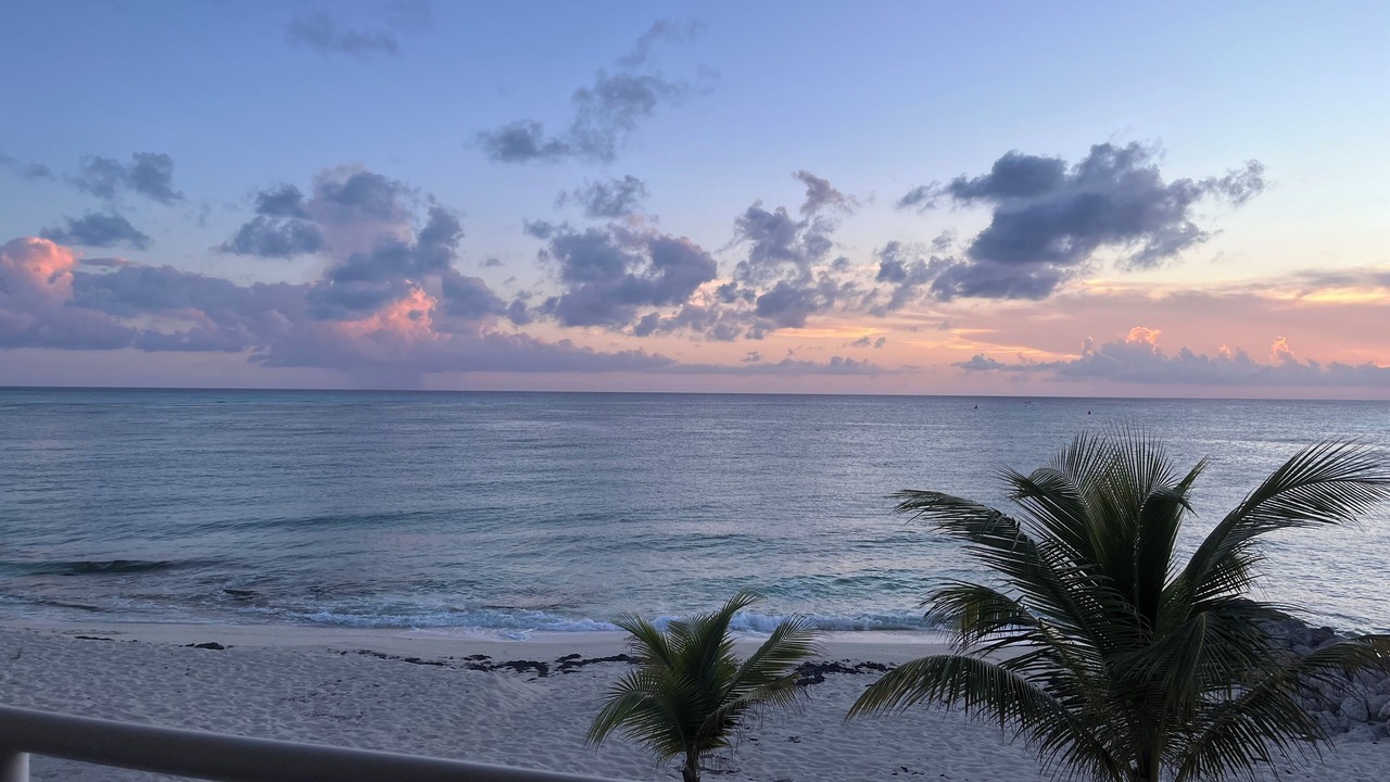 Photo of Others in South Bimini