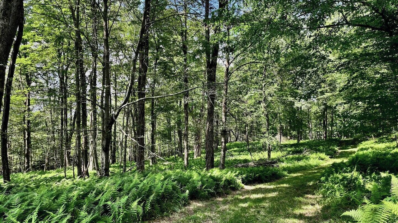 Photo of Others in North Branch