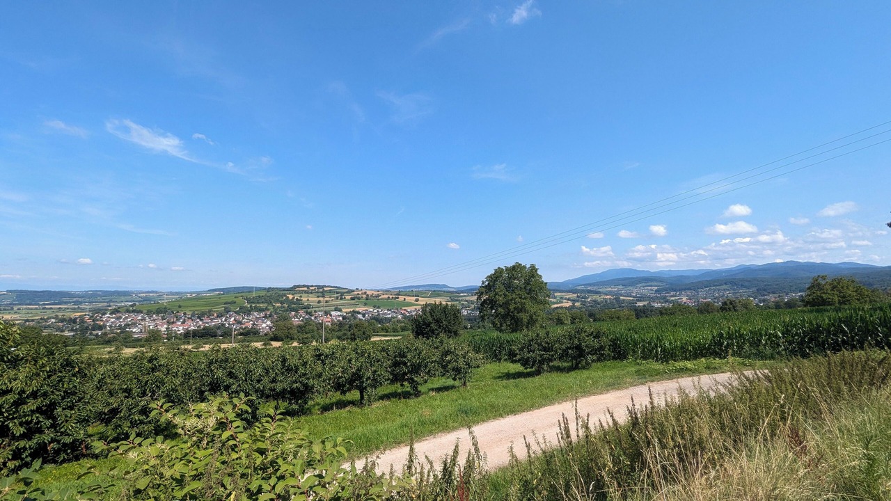 Photo of Others in Weil am Rhein